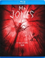 Mr. Jones (Blu-ray Movie), temporary cover art