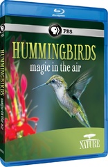 Nature: Hummingbirds: Magic in the Air (Blu-ray Movie), temporary cover art