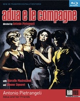 Adua e le compagne (Blu-ray Movie), temporary cover art