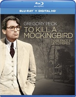 To Kill a Mockingbird (Blu-ray Movie)