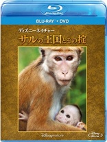 Monkey Kingdom (Blu-ray Movie)