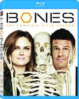 Bones: The Complete Fifth Season (Blu-ray Movie), temporary cover art