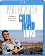 Cool Hand Luke (Blu-ray Movie)