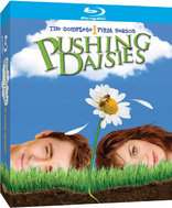 Pushing Daisies: The Complete First Season (Blu-ray Movie)