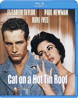 Cat on a Hot Tin Roof (Blu-ray Movie)