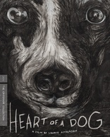Heart of a Dog (Blu-ray Movie)