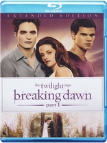 The Twilight Saga: Breaking Dawn, Part 1 (Blu-ray Movie)