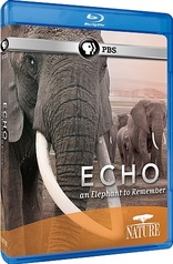 Nature: Echo: An Elephant to Remember (Blu-ray Movie)