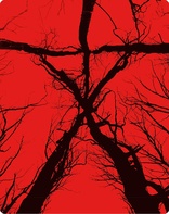 Blair Witch (Blu-ray Movie)