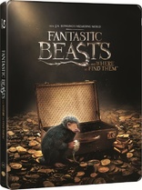 Fantastic Beasts and Where to Find Them 3D (Blu-ray Movie)