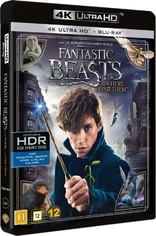 Fantastic Beasts and Where to Find Them 4K (Blu-ray Movie)