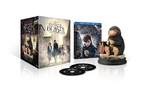 Fantastic Beasts and Where to Find Them (Blu-ray Movie)