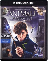 Fantastic Beasts and Where to Find Them 4K (Blu-ray Movie)