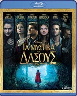 Into the Woods (Blu-ray Movie)