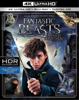 Fantastic Beasts and Where to Find Them 4K (Blu-ray Movie)