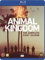 Animal Kingdom: The Complete First Season (Blu-ray Movie)