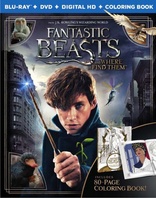 Fantastic Beasts and Where to Find Them (Blu-ray Movie)