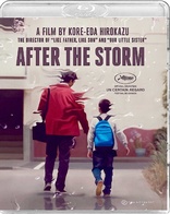 After the Storm (Blu-ray Movie)
