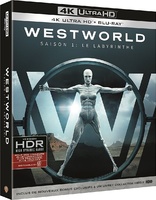 Westworld: The Complete First Season 4K (Blu-ray Movie)