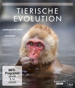 David Attenborough's Rise of Animals: Triumph of the Vertebrates (Blu-ray Movie)