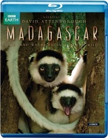 Madagascar (Blu-ray Movie), temporary cover art