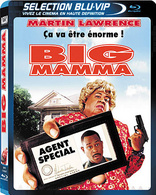 Big Momma's House (Blu-ray Movie)