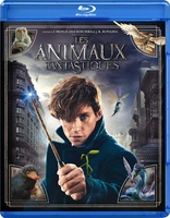 Fantastic Beasts and Where to Find Them (Blu-ray Movie)