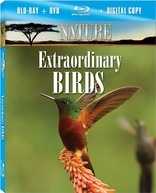 Nature: Extraordinary Birds (Blu-ray Movie)