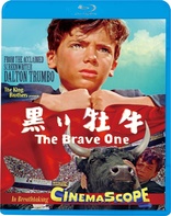 The Brave One (Blu-ray Movie)