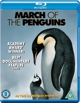 March of the Penguins (Blu-ray Movie)