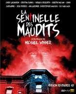 The Sentinel (Blu-ray Movie)