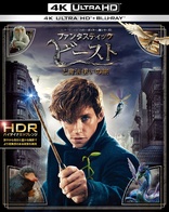 Fantastic Beasts and Where to Find Them 4K (Blu-ray Movie)