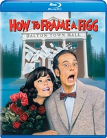 How to Frame a Figg (Blu-ray Movie)