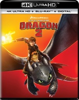 How to Train Your Dragon 2 4K (Blu-ray Movie)