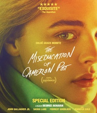 The Miseducation of Cameron Post (Blu-ray)