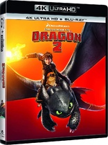 How to Train Your Dragon 2 4K (Blu-ray Movie)