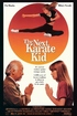 The Next Karate Kid (Blu-ray Movie)