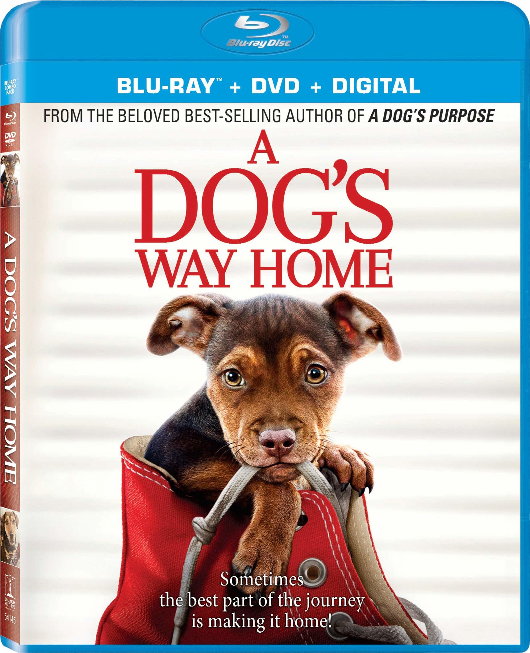  A Dogs Way Home (2019) Mis Huellas a Casa (2019) [AC3 5.1 + SUP/SRT] [Blu Ray-Rip] [GOOGLEDRIVE*] 230076_front