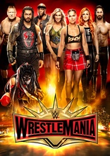 WWE: WrestleMania 35 (Blu-ray Movie)