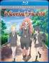 A Centaur's Life: The Complete Series (Blu-ray Movie)