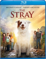 The Stray (Blu-ray Movie)