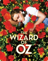 The Wizard of Oz 4K (Blu-ray Movie)