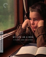 My Life as a Dog (Blu-ray Movie)