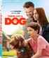 Think Like a Dog (Blu-ray Movie)