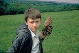 Kes (Blu-ray Movie)