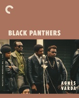 Black Panthers (Blu-ray Movie)