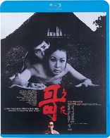 Poem (Blu-ray Movie), temporary cover art