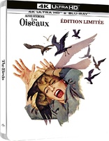 The Birds 4K (Blu-ray Movie)