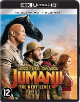 Jumanji: The Next Level 4K (Blu-ray Movie)