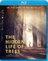 The Hidden Life of Trees (Blu-ray Movie)